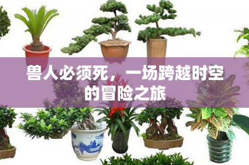 兽人必须死，一场跨越时空的冒险之旅