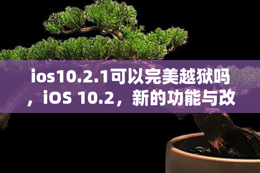 ios10.2.1可以完美越狱吗，iOS 10.2，新的功能与改进，让你体验不一样的苹果生态