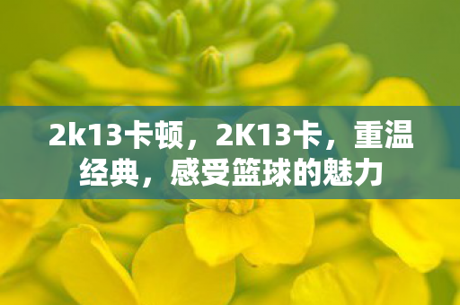 2k13卡顿,2K13卡,重温经典,感受篮球的魅力 2k13卡顿,2K13卡,重温经典,感受篮球的魅力
