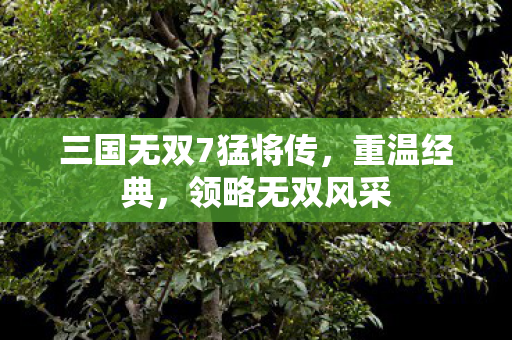 三国无双7猛将传，重温经典，领略无双风采