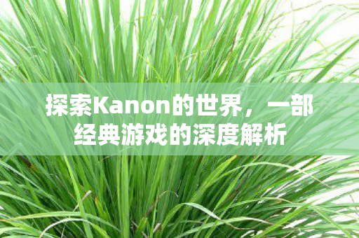 探索Kanon的世界，一部经典游戏的深度解析