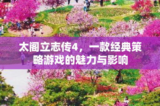 太阁立志传4,一款经典策略游戏的魅力与影响 太阁立志传4,一款经典策略游戏的魅力与影响