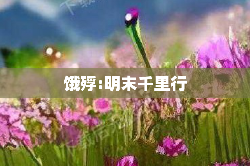 饿殍:明末千里行 饿殍:明末千里行