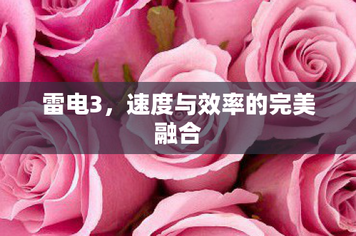雷电3，速度与效率的完美融合