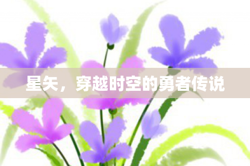 星矢，穿越时空的勇者传说