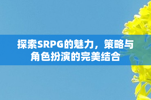 探索SRPG的魅力，策略与角色扮演的完美结合