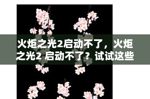火炬之光2启动不了,火炬之光2 启动不了?试试这些解决方案! 火炬之光2启动不了,火炬之光2 启动不了?试试这些解决方案!