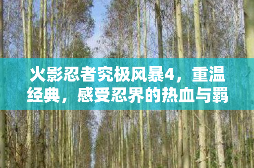 火影忍者究极风暴4，重温经典，感受忍界的热血与羁绊