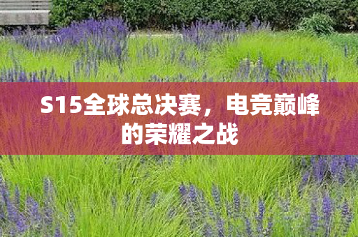 S15全球总决赛，电竞巅峰的荣耀之战