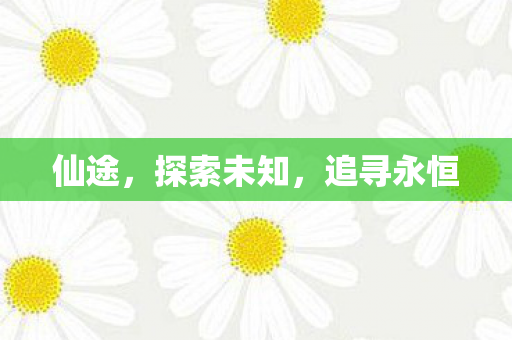 仙途，探索未知，追寻永恒