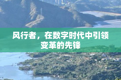 风行者,在数字时代中引领变革的先锋 风行者,在数字时代中引领变革的先锋