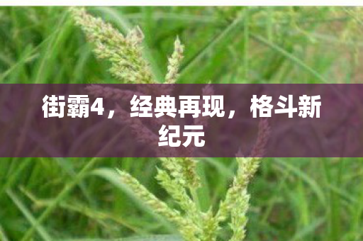 街霸4，经典再现，格斗新纪元