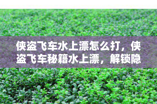 侠盗飞车水上漂怎么打，侠盗飞车秘籍水上漂，解锁隐藏技巧，畅游虚拟都市