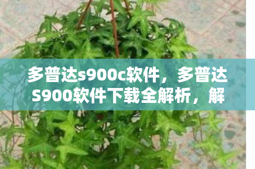 多普达s900c软件，多普达S900软件下载全解析，解锁智能设备的无限可能