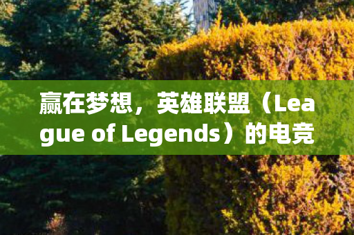 赢在梦想，英雄联盟（League of Legends）的电竞之路