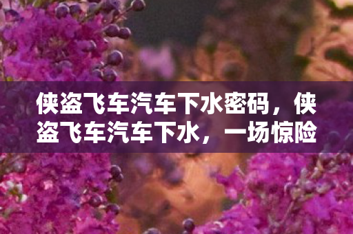 侠盗飞车汽车下水密码，侠盗飞车汽车下水，一场惊险刺激的冒险之旅