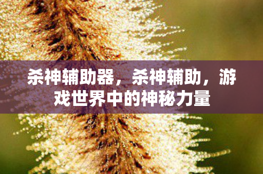 杀神辅助器，杀神辅助，游戏世界中的神秘力量