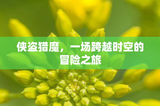 侠盗猎魔，一场跨越时空的冒险之旅