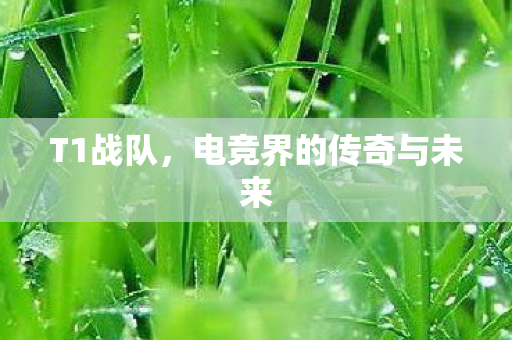 T1战队，电竞界的传奇与未来