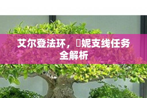 艾尔登法环，菈妮支线任务全解析