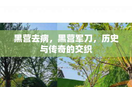 黑营去病，黑营军刀，历史与传奇的交织