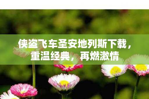 侠盗飞车圣安地列斯下载，重温经典，再燃激情