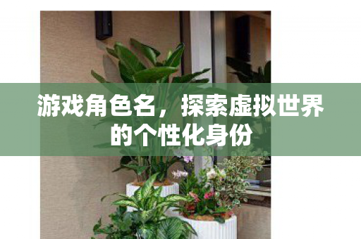 游戏角色名，探索虚拟世界的个性化身份