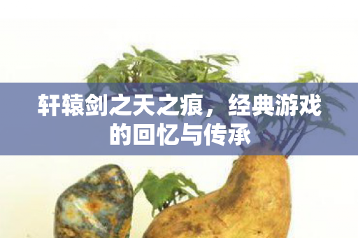 轩辕剑之天之痕，经典游戏的回忆与传承