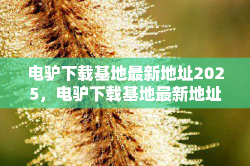 电驴下载基地最新地址2025，电驴下载基地最新地址，探索数字时代的资源分享新平台