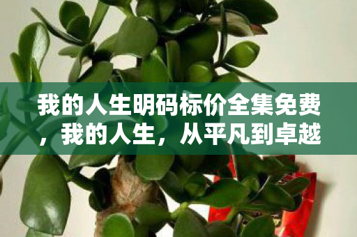 我的人生明码标价全集免费,我的人生,从平凡到卓越的旅程 我的人生明码标价全集免费,我的人生,从平凡到卓越的旅程