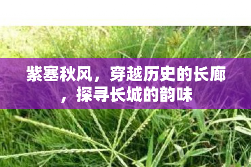 紫塞秋风，穿越历史的长廊，探寻长城的韵味