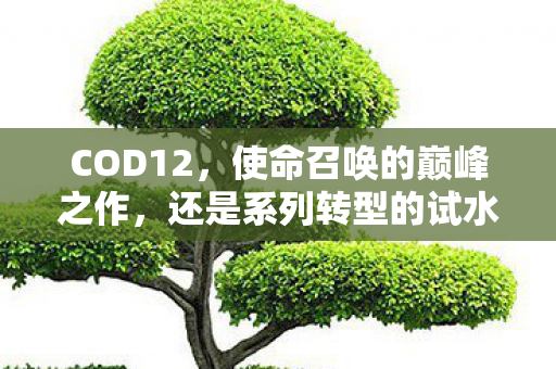 COD12，使命召唤的巅峰之作，还是系列转型的试水之作？