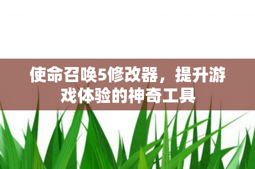 使命召唤5修改器，提升游戏体验的神奇工具