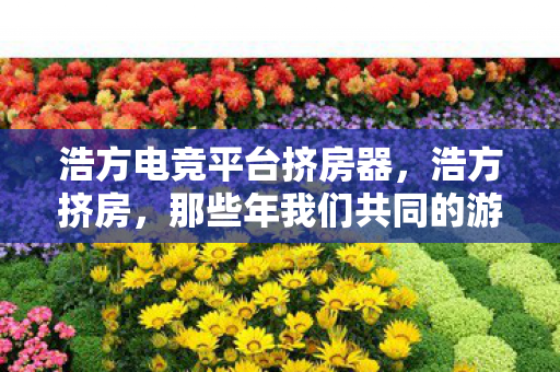 浩方电竞平台挤房器,浩方挤房,那些年我们共同的游戏回忆 浩方电竞平台挤房器,浩方挤房,那些年我们共同的游戏回忆