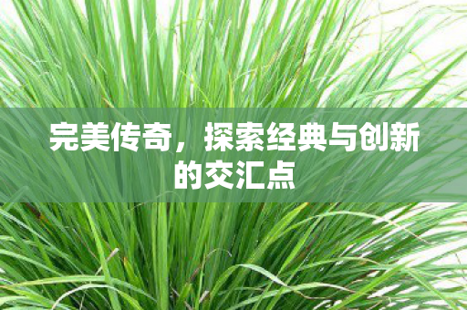 完美传奇，探索经典与创新的交汇点
