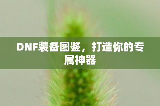 DNF装备图鉴，打造你的专属神器