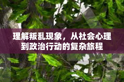 理解叛乱现象，从社会心理到政治行动的复杂旅程
