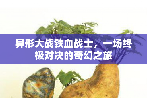 异形大战铁血战士,一场终极对决的奇幻之旅 异形大战铁血战士,一场终极对决的奇幻之旅