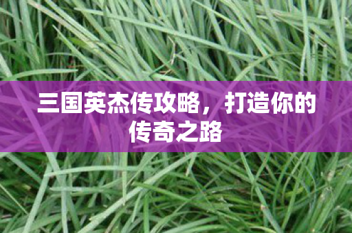 三国英杰传攻略，打造你的传奇之路