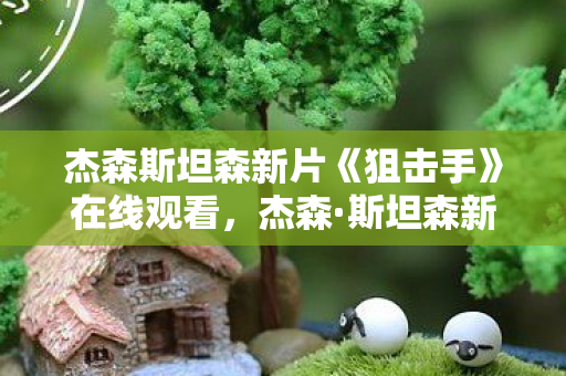 杰森斯坦森新片《狙击手》在线观看，杰森·斯坦森新片，硬汉再现，动作盛宴再升级
