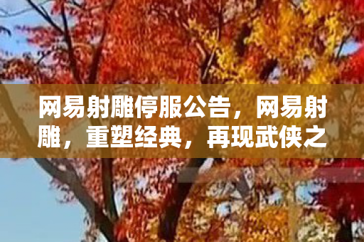 网易射雕停服公告，网易射雕，重塑经典，再现武侠之魂