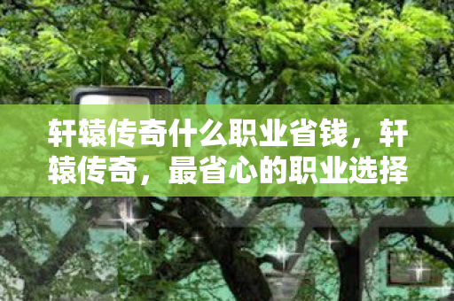 轩辕传奇什么职业省钱，轩辕传奇，最省心的职业选择指南