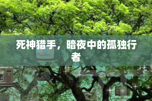死神猎手，暗夜中的孤独行者