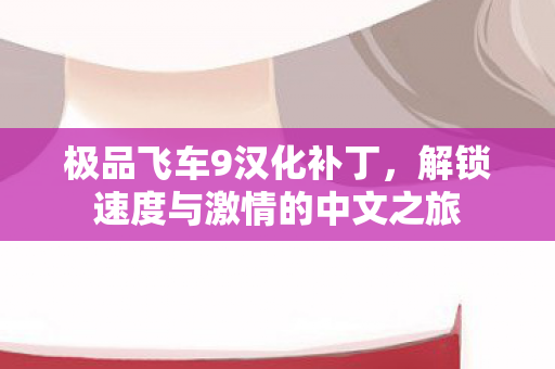 极品飞车9汉化补丁，解锁速度与激情的中文之旅
