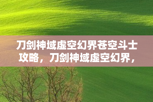 刀剑神域虚空幻界苍空斗士攻略，刀剑神域虚空幻界，探索未知世界的奇幻之旅