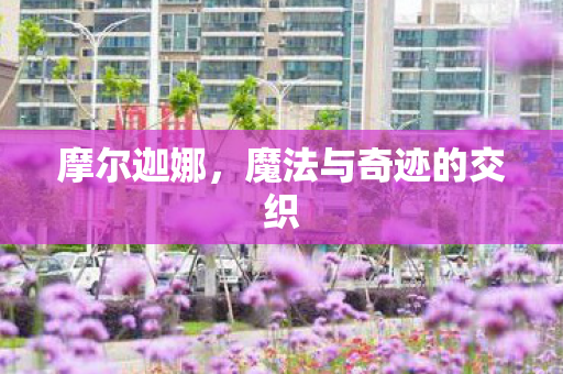 摩尔迦娜，魔法与奇迹的交织