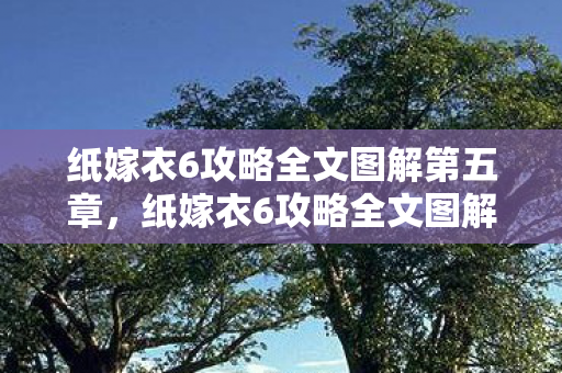 纸嫁衣6攻略全文图解第五章，纸嫁衣6攻略全文图解