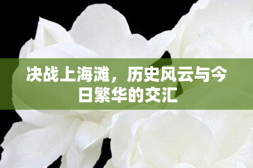 决战上海滩，历史风云与今日繁华的交汇
