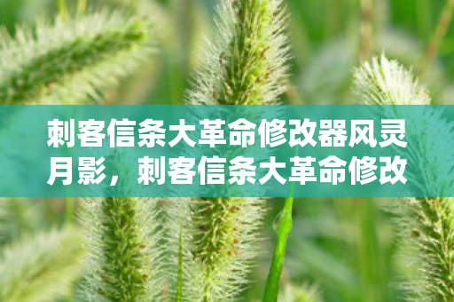 刺客信条大革命修改器风灵月影，刺客信条大革命修改器，解锁无限可能的神秘钥匙