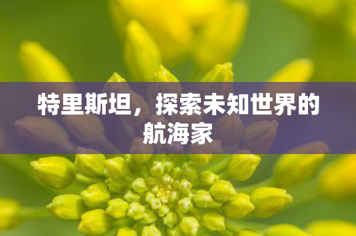 特里斯坦，探索未知世界的航海家